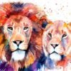 Lion Lioness Love
