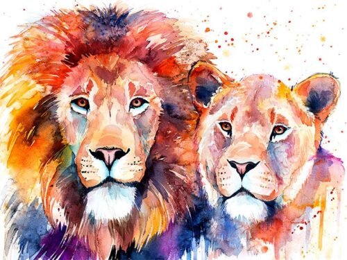Lion Lioness Love