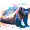 Honey badger