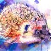 Hedgehog