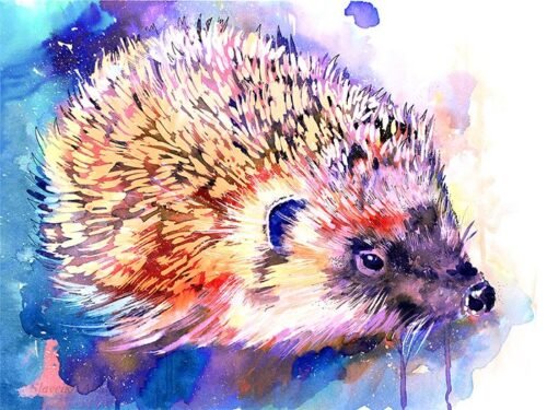 Hedgehog
