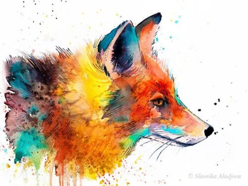 Fox