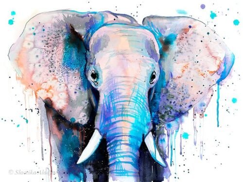 Blue Elephant Head