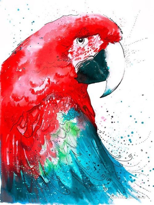Green-winged macaw