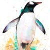 Gentoo penguin Gentoo penguin