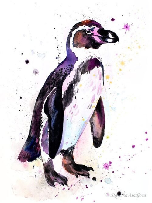 Humboldt penguin