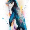 Little Blue Penguin