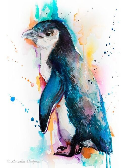 Little Blue Penguin
