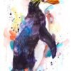 Royal penguin Royal penguin