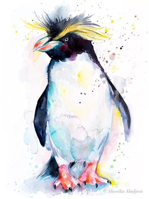 Rockhopper penguin