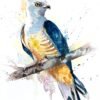 Pacific baza