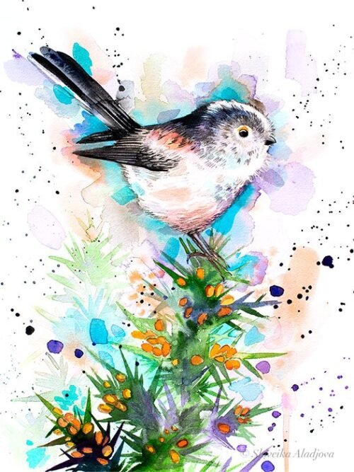 Long-tailed tit