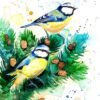 Eurasian blue tit