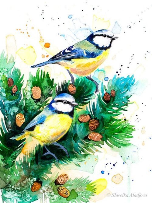 Eurasian blue tit