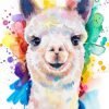 Alpaca