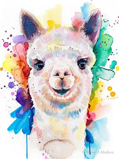 Alpaca