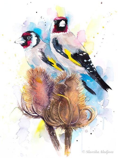 Goldfinch