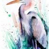 Great blue heron