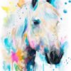 Percheron horse