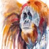 Sumatran orangutan