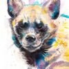 Striped hyena