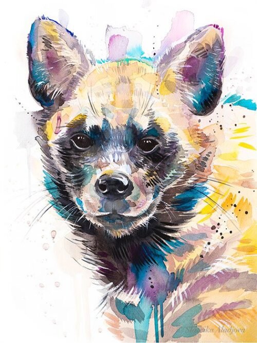 Striped hyena