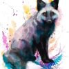 Silver fox