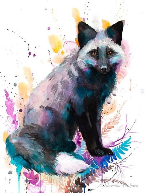 Silver fox
