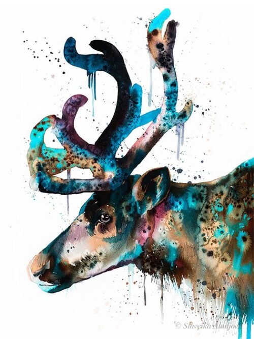 Reindeer
