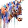 Purple Donkey