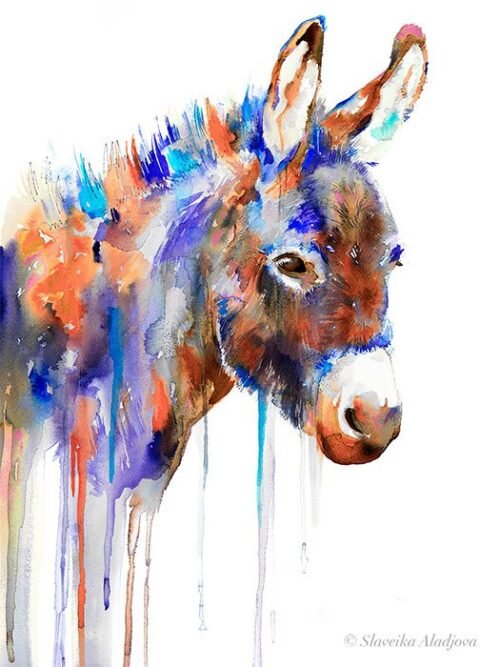Purple Donkey