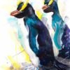 Erect-Crested Penguin