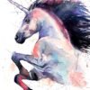Pink Unicorn
