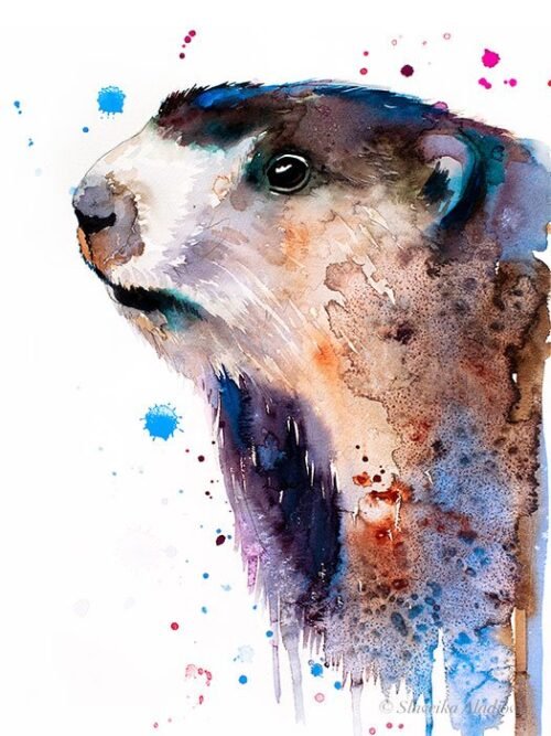 Marmot