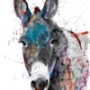 Green Donkey Green Donkey
