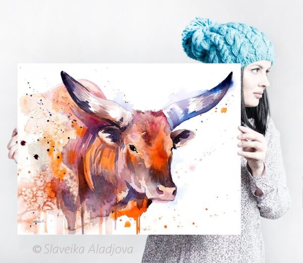 Ankole-Watusi