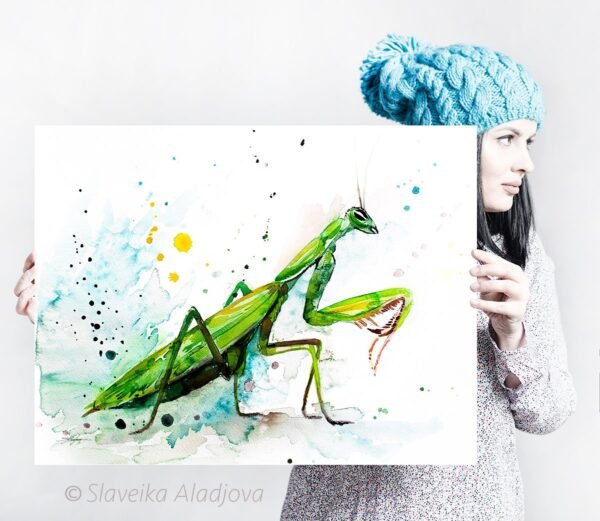 Mantis