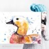 Ruddy shelduck Duck