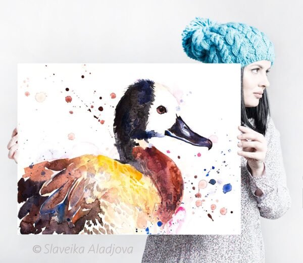 White-faced whistling duck