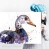 White-winged duck