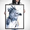 Harpy eagle