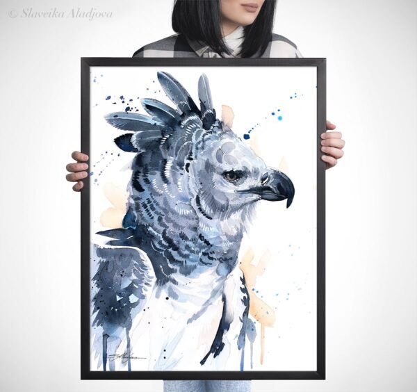 Harpy eagle