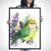 Kakapo, Owl parrot Kakapo, Owl parrot