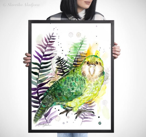 Kakapo, Owl parrot Kakapo, Owl parrot