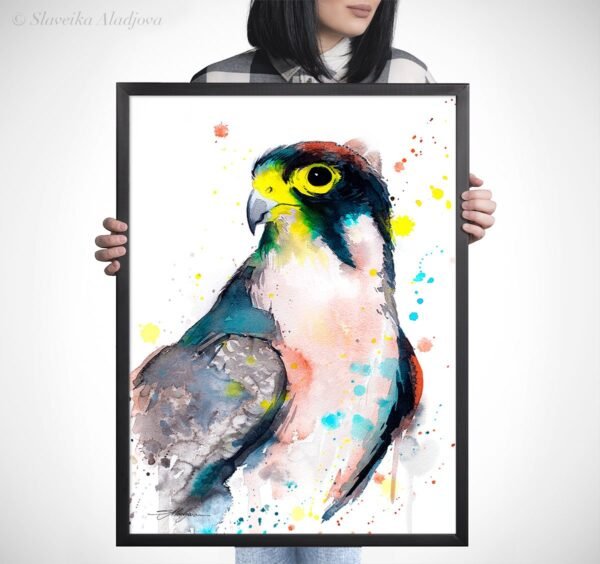 Lanner falcon