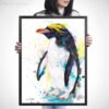 Macaroni penguin Macaroni penguin