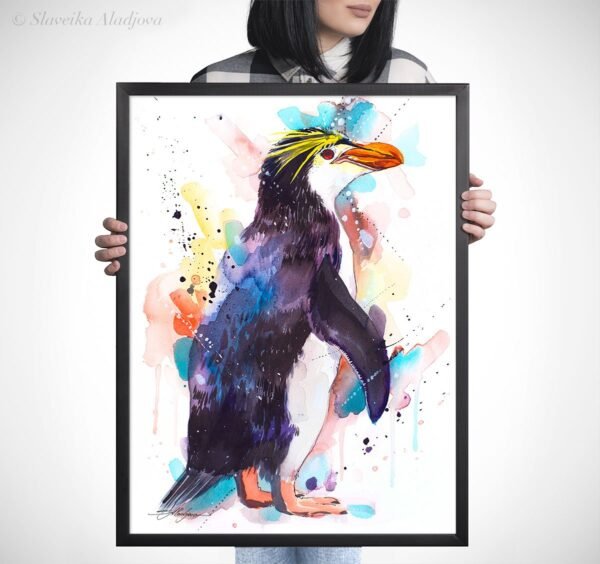 Royal penguin Royal penguin