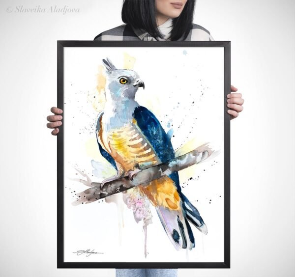 Pacific baza
