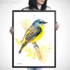 Eastern yellow robin