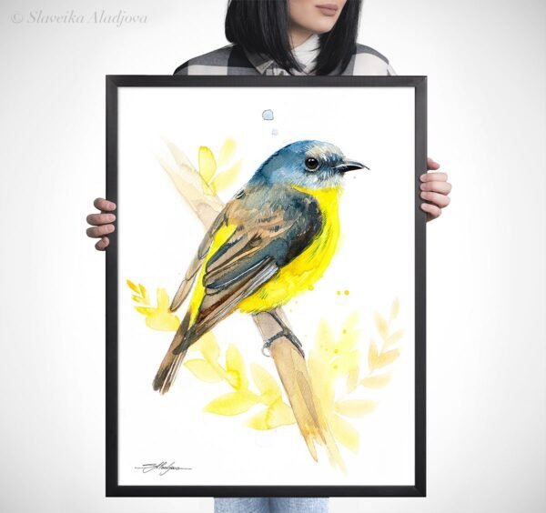 Eastern yellow robin